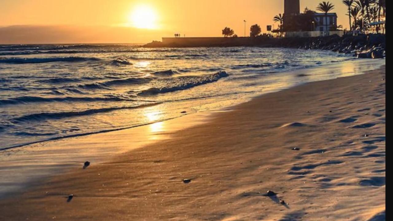El Nido De Los Angeles Lägenhet Playa del Inglés Exteriör bild